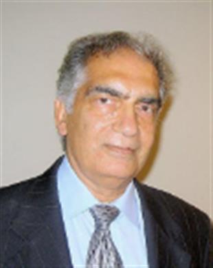 Ashwin Desai Realtor in Venice, FL