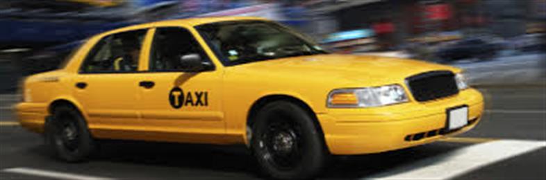 Reddy Transportation in dallas, TX