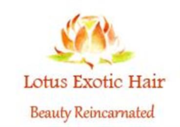Lotus Exotic Hair Extensions in Silver Spring, MD