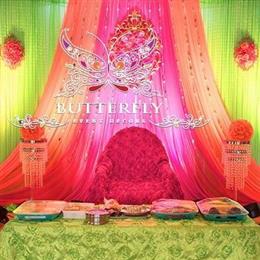 Butterfly Event Decors in Baltimore, MD