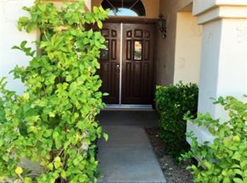 Asha Reddi Realtor in Phoenix, AZ