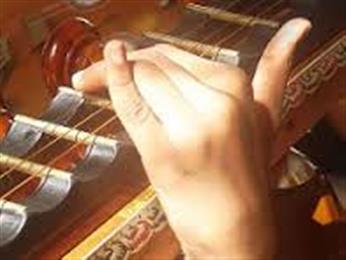 Carnatic Vocal And Veena Lessons Over Skype in Newark, NJ