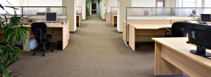 Professional Carpet Cleaning in Stamford, CT