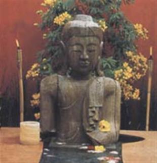 Ayurveda Ms Phillips in Chicago, IL