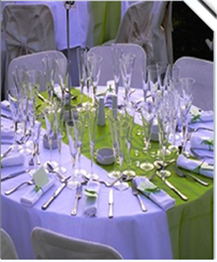 Mimi Decor Event Rentals in Java, VA