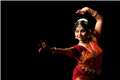 Natyam Academy Of Performing Arts in dallas, TX