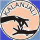 Kalanjali Dance Academy in Kansas city, MO