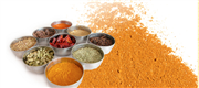 Meghana Foods Inc in Seattle, WA
