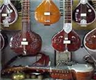 Vocal Karnatic Classical Music And Veena Lessons in Chicago, IL