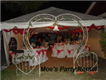Moes Party Rental in Miami, FL