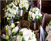 Bambi Decor Flowers For Every Occasion in Newark, NJ