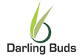 Darling Buds Hair Transplant in Cleveland, OH