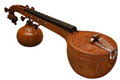 Vocal Classical Karnatak Music And Veena Classes Offered in Chicago, IL