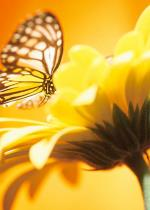 First Avenue Funeral Services in New York, NY