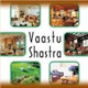 PritiJoshi Indian Astrology And Vastu Shastra in Iselin, NJ