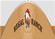 Regal Ranch in Houston, TX