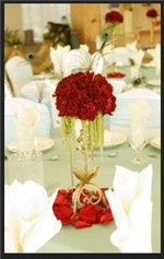 Dream Decor in Los Angeles, CA