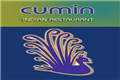 Cumin India in Cincinnati, OH