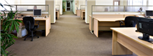 Professional Carpet Cleaning in Hartford, CT