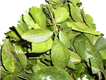 Fight Bad Health (Bilwa Leaves, Neem Leaves, Moringa Drum Sticks And More) in San Antonio, TX