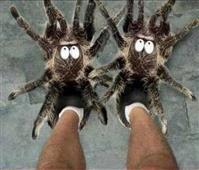 Total Pest Control