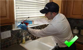 Insight Pest Solutions