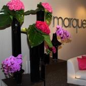 Marquee Event Group