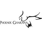 Phoenix Gharana School Of Indian Arts