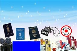 Sankarathil Enterprises Inc
