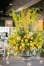 Vibrant Table Catering And Events
