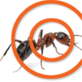 Ortex Pest Control