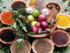 Practical Ayurveda Therapy