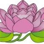 Berkeley Institute Of Homeopathy