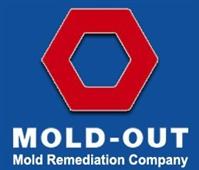 Mold Out Services