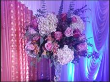 Milaap Events