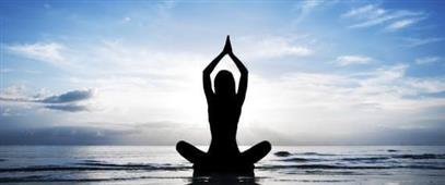 Focus Barre And Yoga