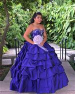 Lili V The Company And Assoc Inc