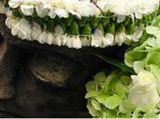 Novelty Leis Florist