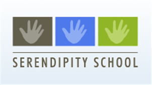 Serendipity School