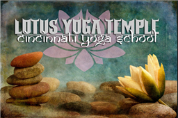 Lotus Yoga Temple Cincinnati Yoga School