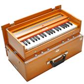 Hindustani Classical And Contemporary Bollywood Music Classes Home And Internet Based