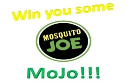 Mosquito Joe Of South Columbus