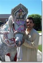 Equishare Barrat Horses