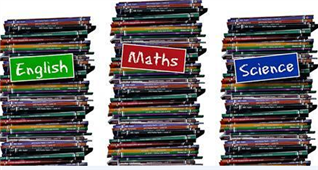 Math English And Science Tutor