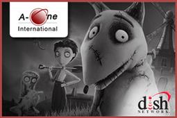 A OneInternational Cable Television Operators Sugar Land, TX