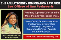 Anu Attorney Professional Law Firm