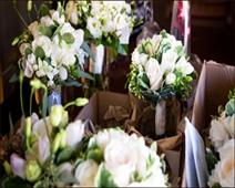 Bambi Decor Flowers For Every Occasion