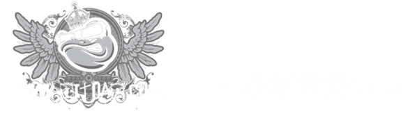 DJ Toad