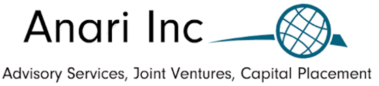 Anari Inc Global Investment Strategy And Sourcing