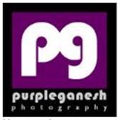 Purple Ganesh Photography